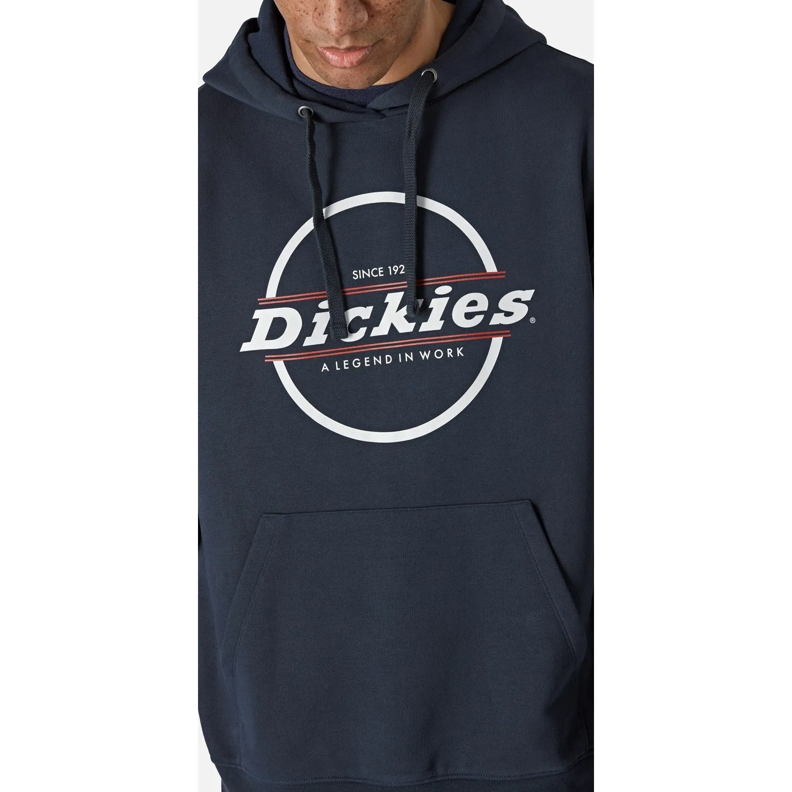 Dickies Towson Graphic Hoodie