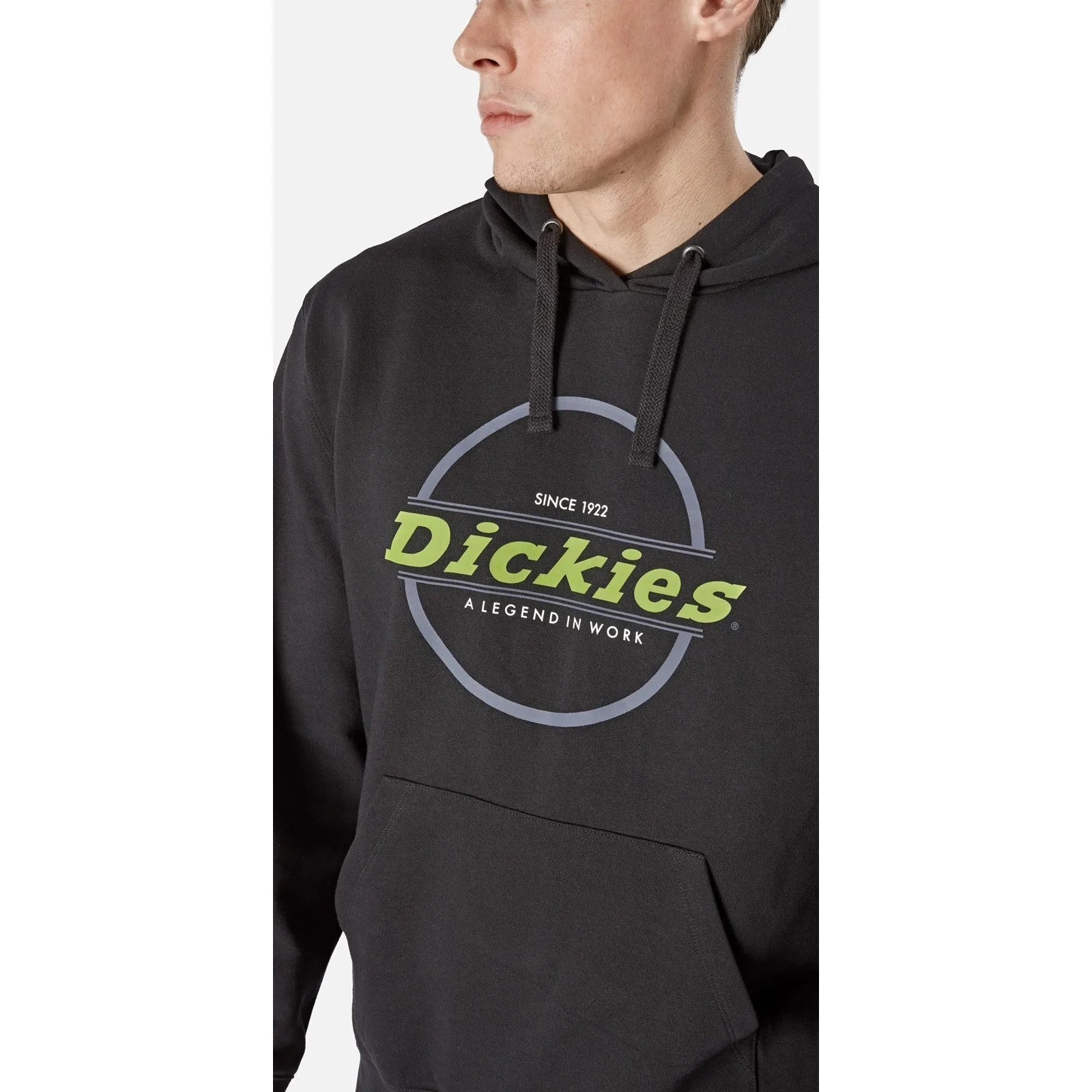 Dickies Towson Graphic Hoodie