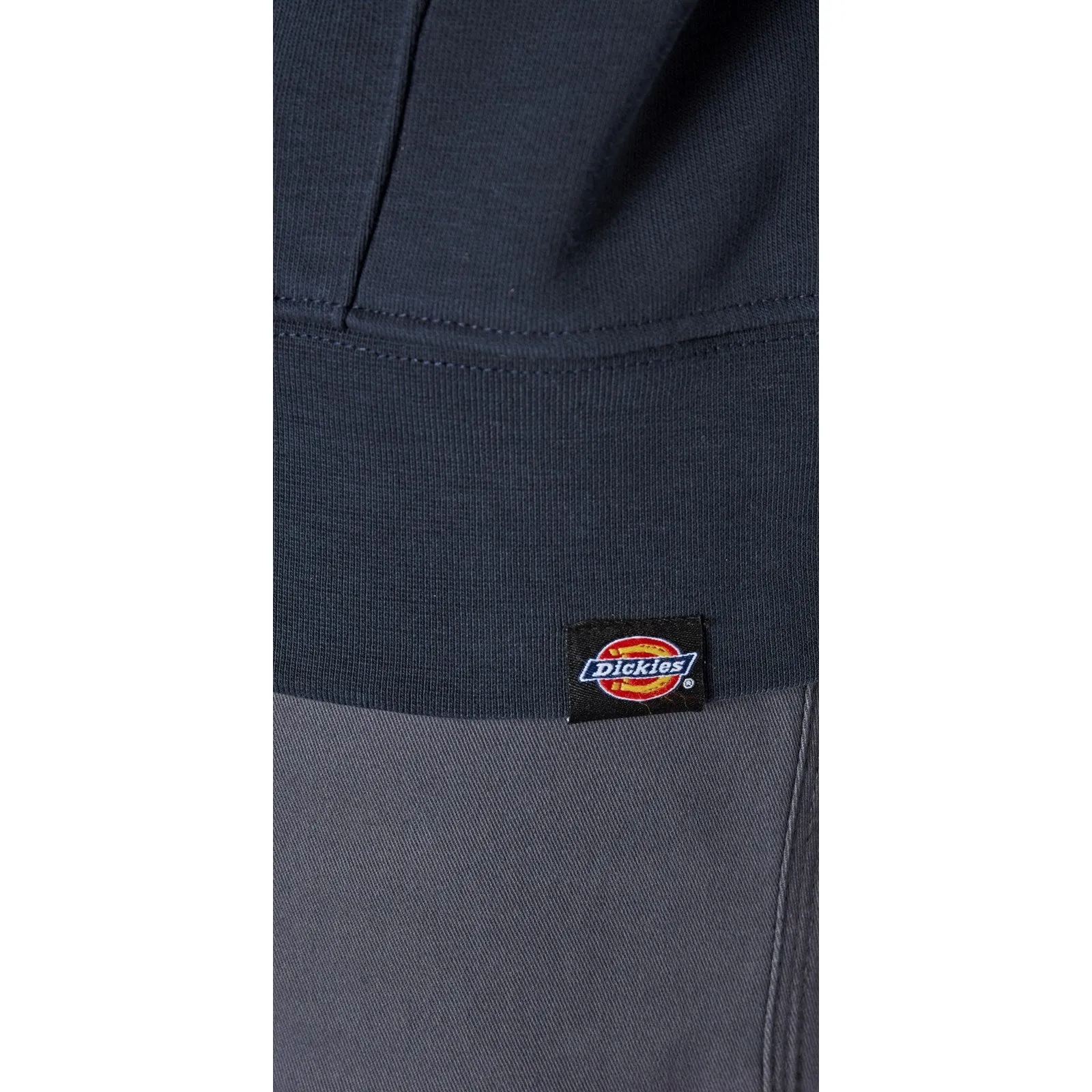 Dickies Towson Graphic Hoodie